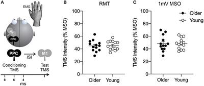 Reduced Facilitation of Parietal-Motor Functional Connections in Older Adults